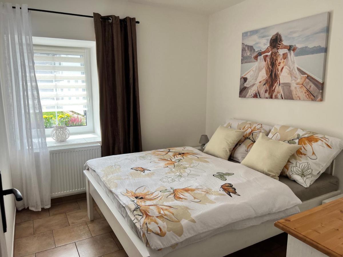 Apartmany Hanicka هينيتسه المظهر الخارجي الصورة